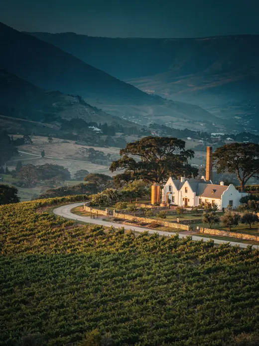 Landschaft der Region Westkap & Brandy-Route