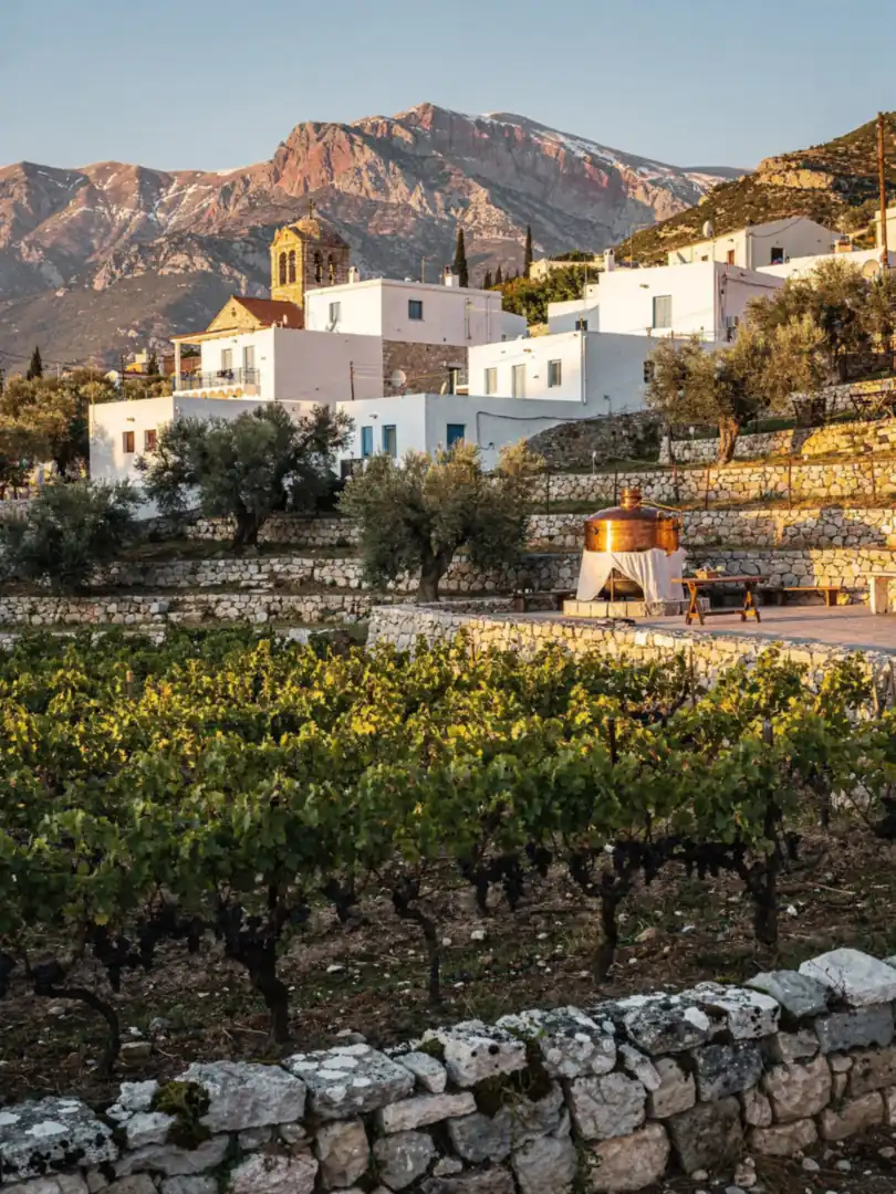Region & Geschichte in der Region Kreta