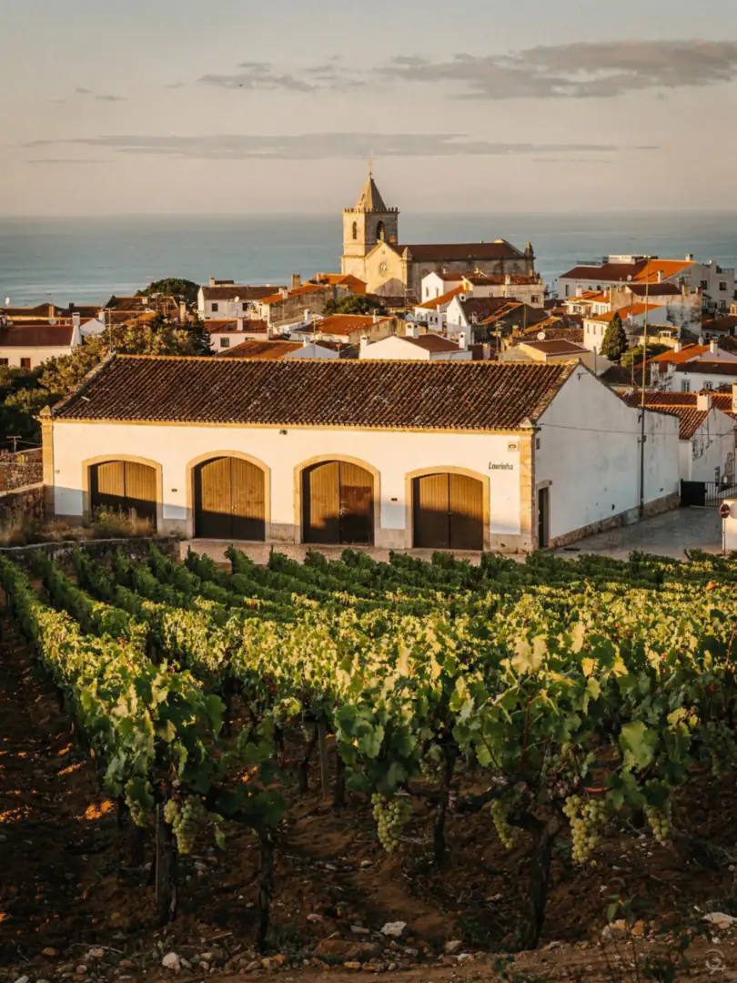 Region & History in the region Lourinhã & Northern Portugal