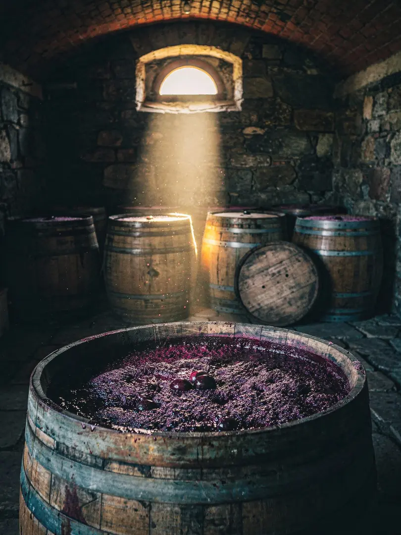 Mash & Fermentation in the region Moravia & Slovakia