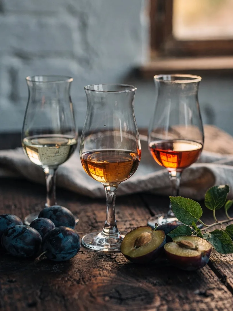 Tasting in the region Moravia & Slovakia
