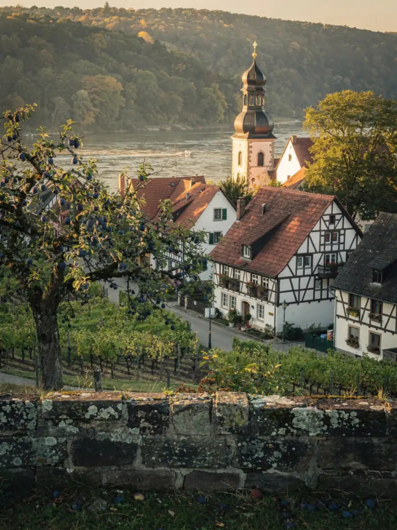 Region & Geschichte in der Region Mainfranken & Spessart
