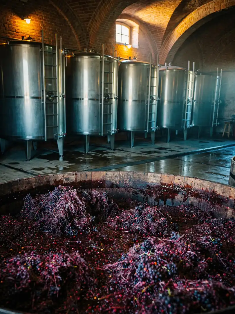 Mash & Fermentation in the region Piedmont