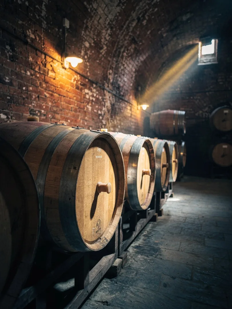 Maturation & Storage in the region Piedmont