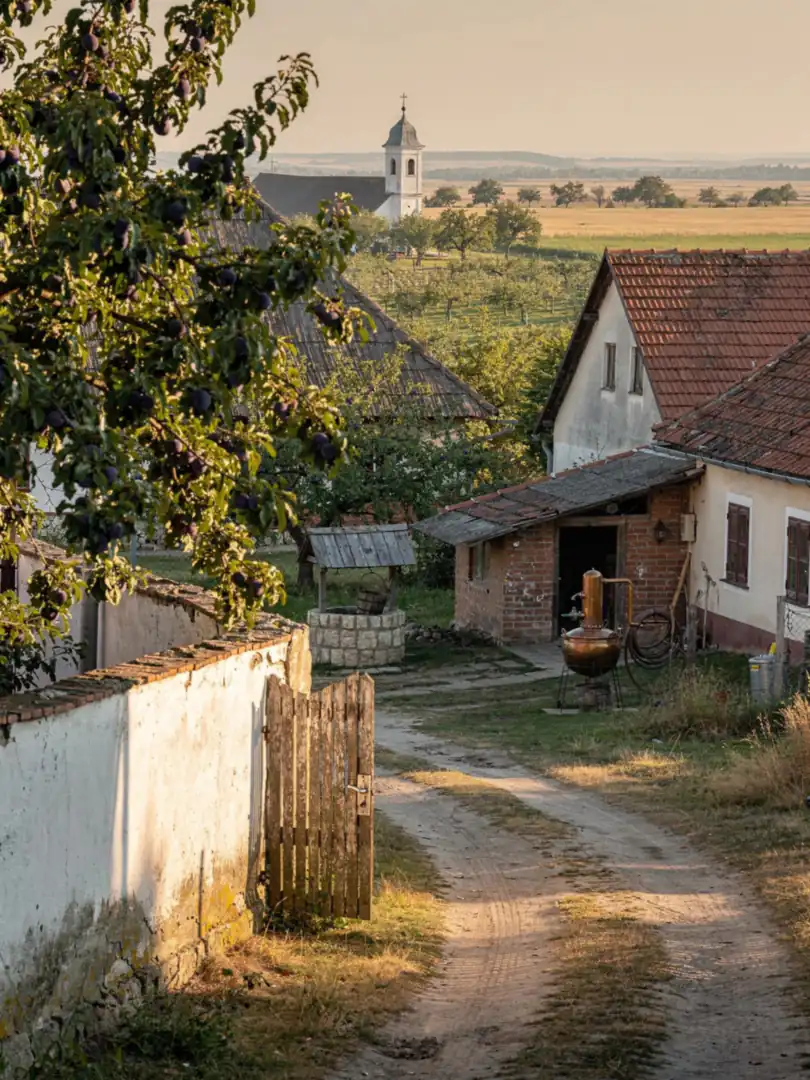 Region & Geschichte in der Region Szatmár & Szabolcs