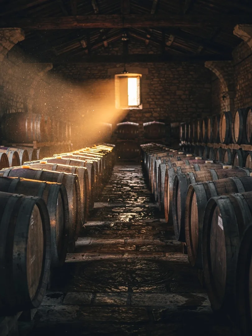 Reifung & Lagerung in der Region Ténarèze & Haut-Armagnac