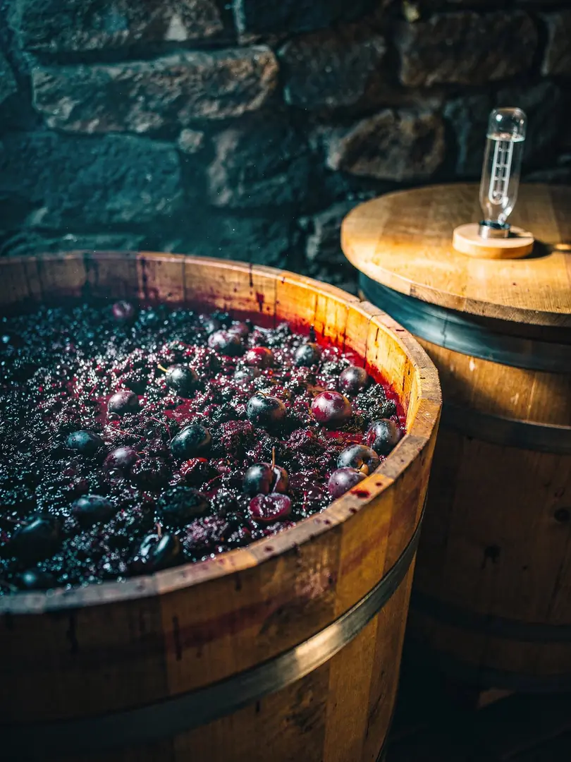 Mash and fermentation: why fruit must first become wine