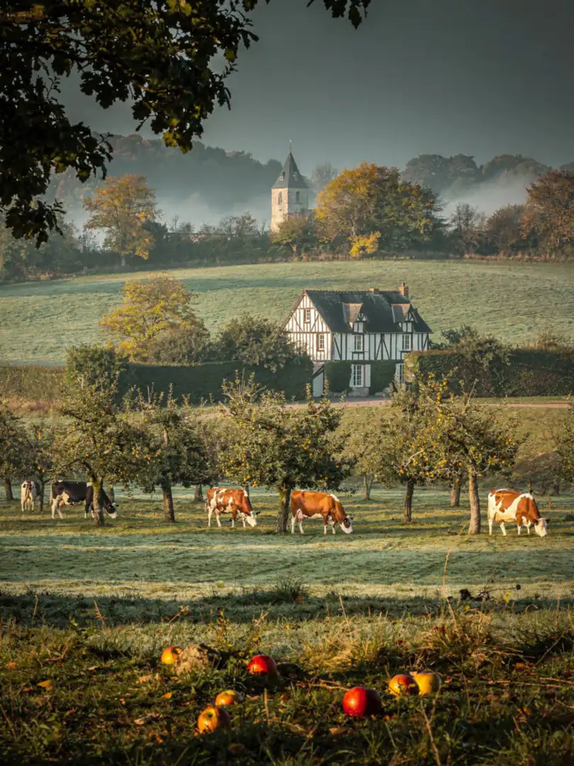 Calvados, Pays d'Auge, Domfrontais: The Three AOCs