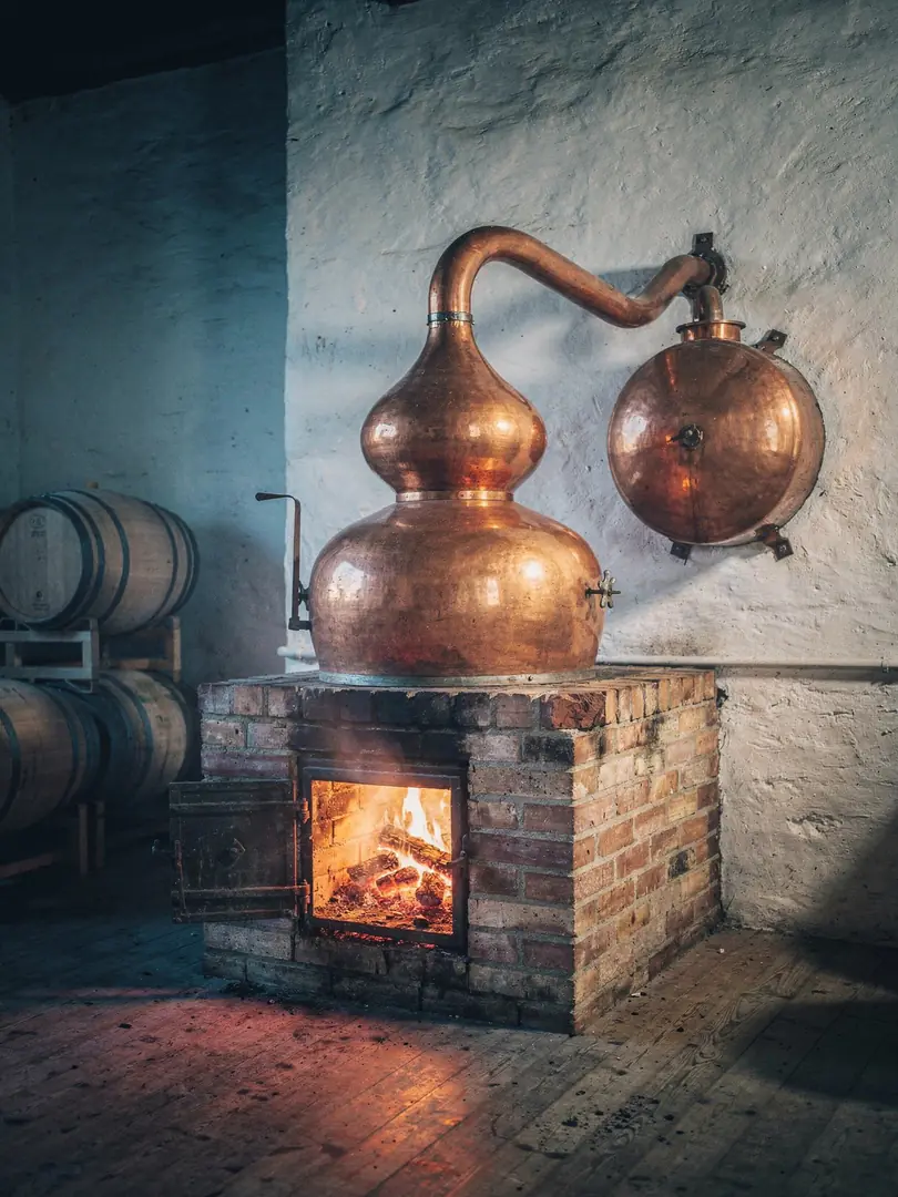 How is Cognac made? From Ugni Blanc to the cask