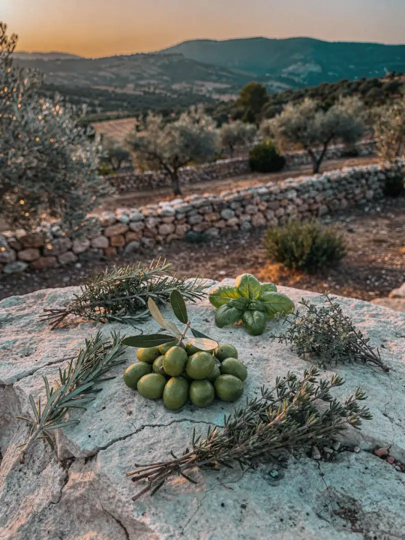 Botanicals in der Region Katalonien