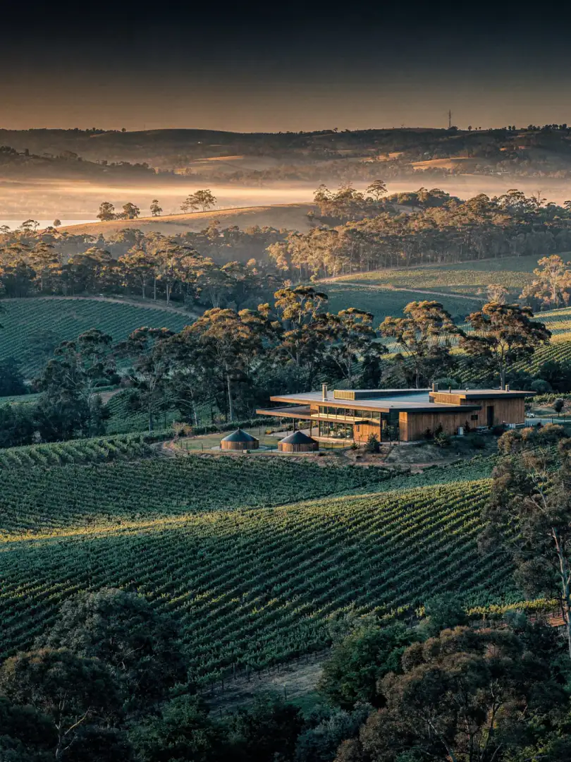 Weinberge und Eukalyptushügel im Yarra Valley