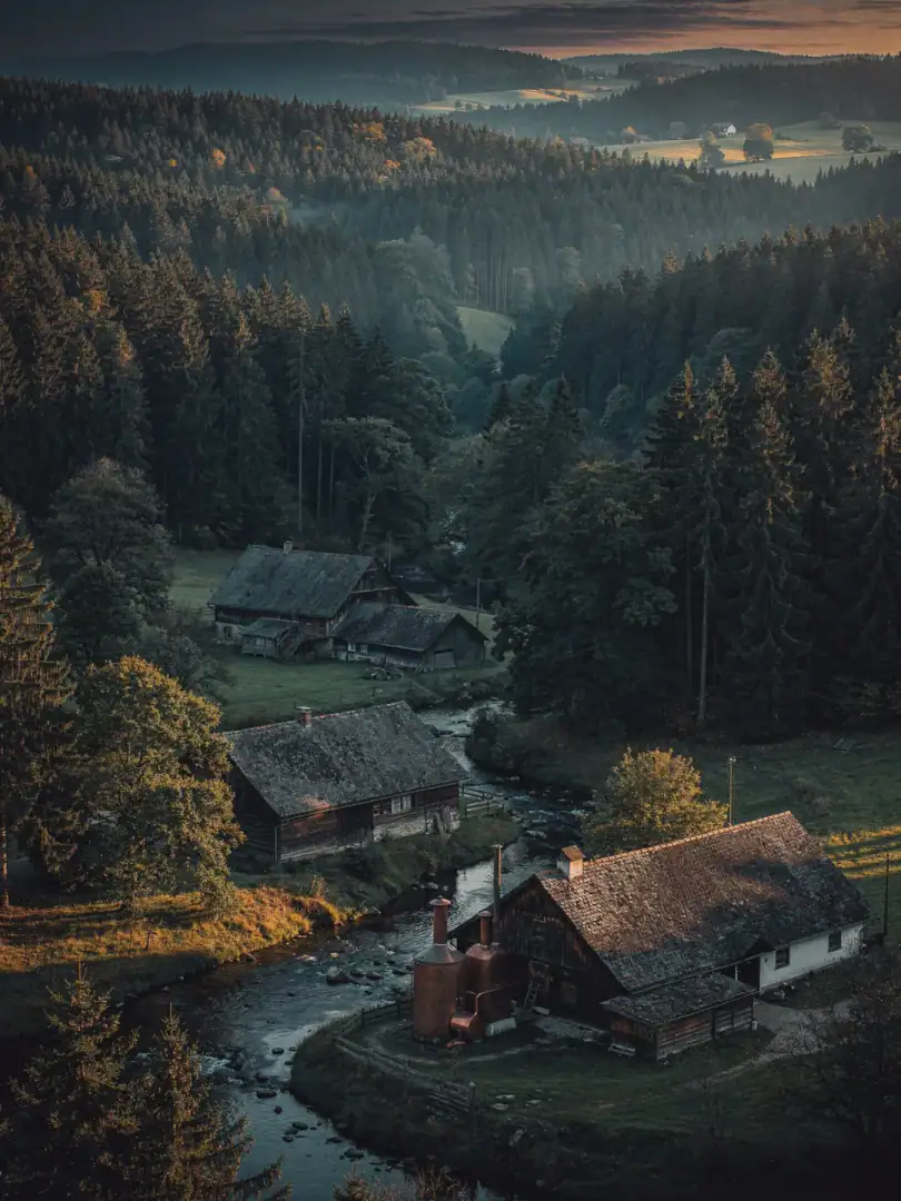 Tannenwälder und Höfe im Schwarzwald