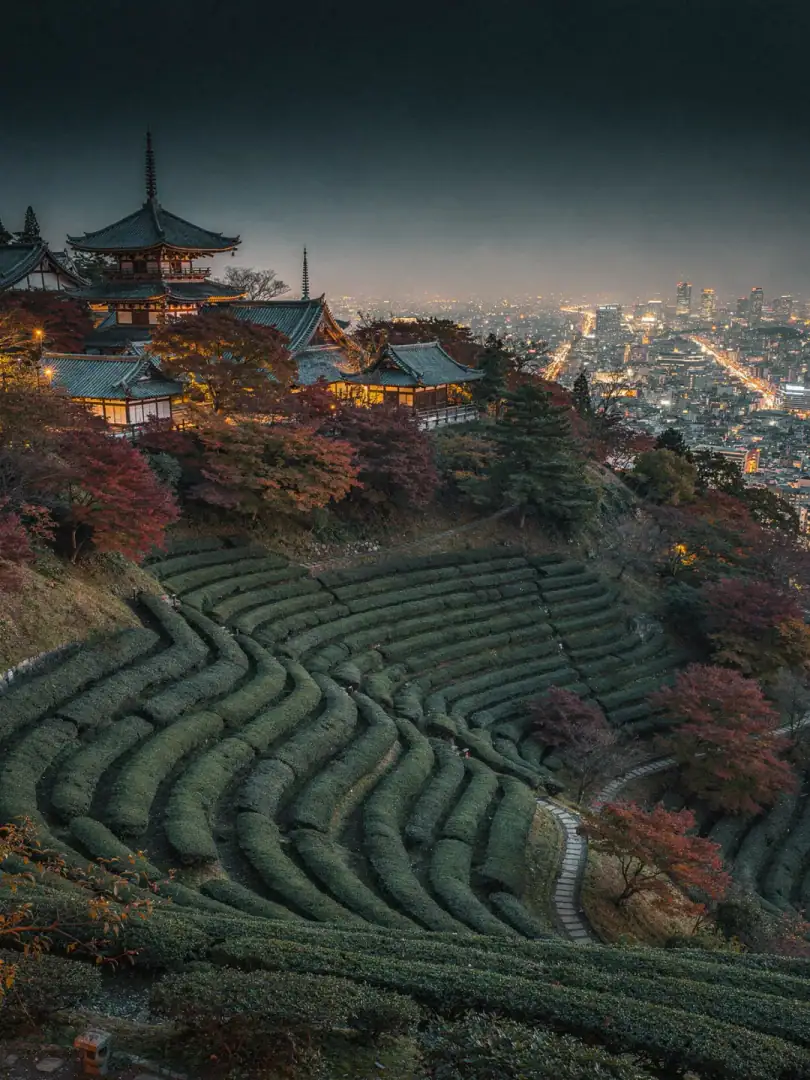 Tempel, Teegärten und Hügel um Kyoto