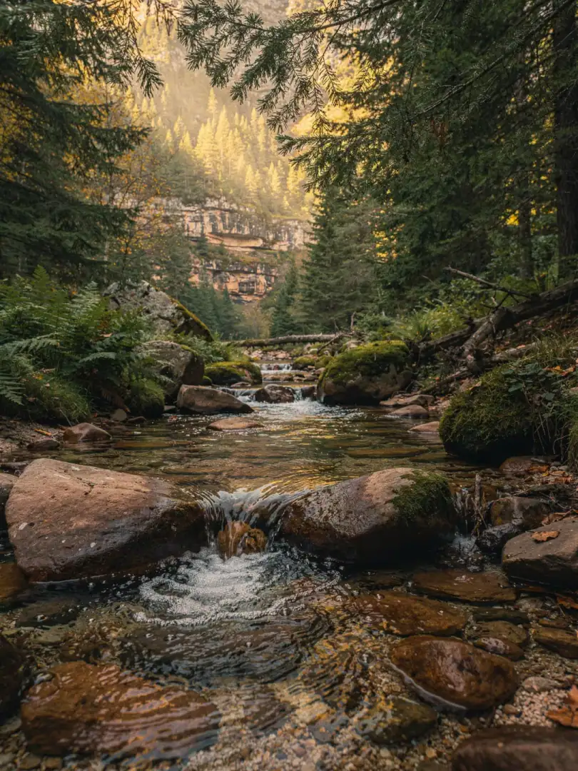 Wasser & Klima in der Region Schwarzwald