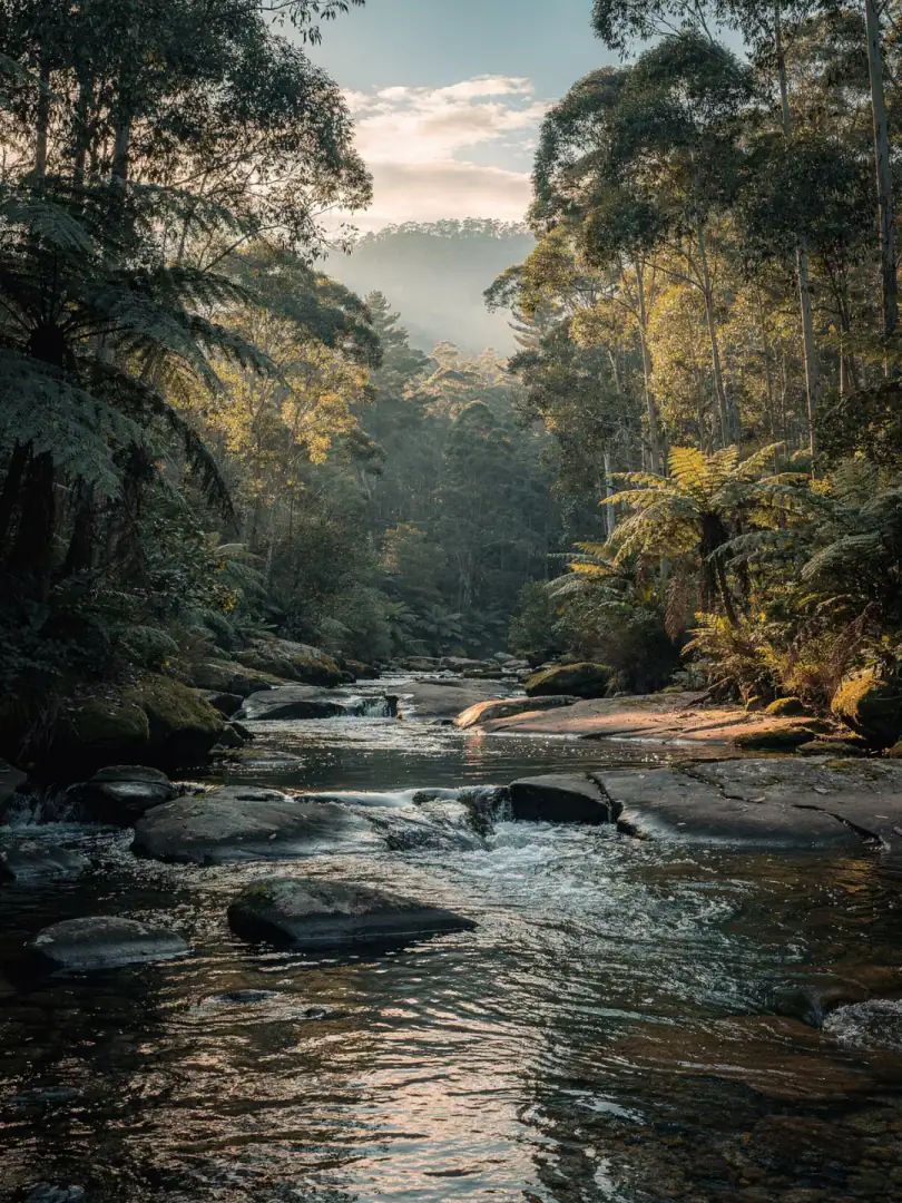 Wasser & Klima in der Region Victoria & Yarra Valley