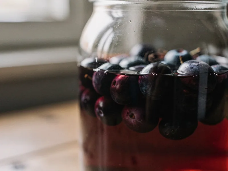 Gin: So schmeckt Sloe Gin
