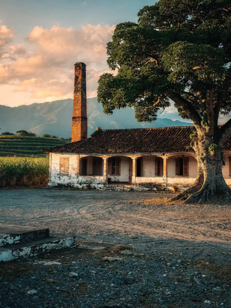 Region & Geschichte in der Region Aragua & das Zentrum
