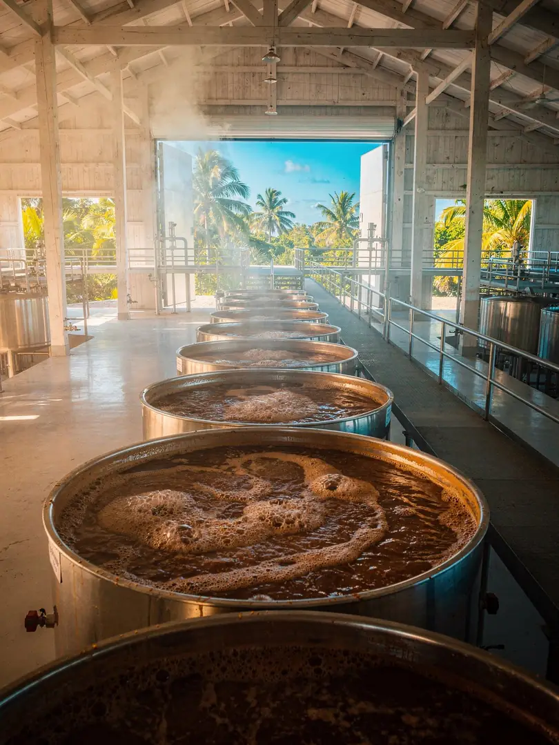 Fermentation in the region Bridgetown & St. Michael