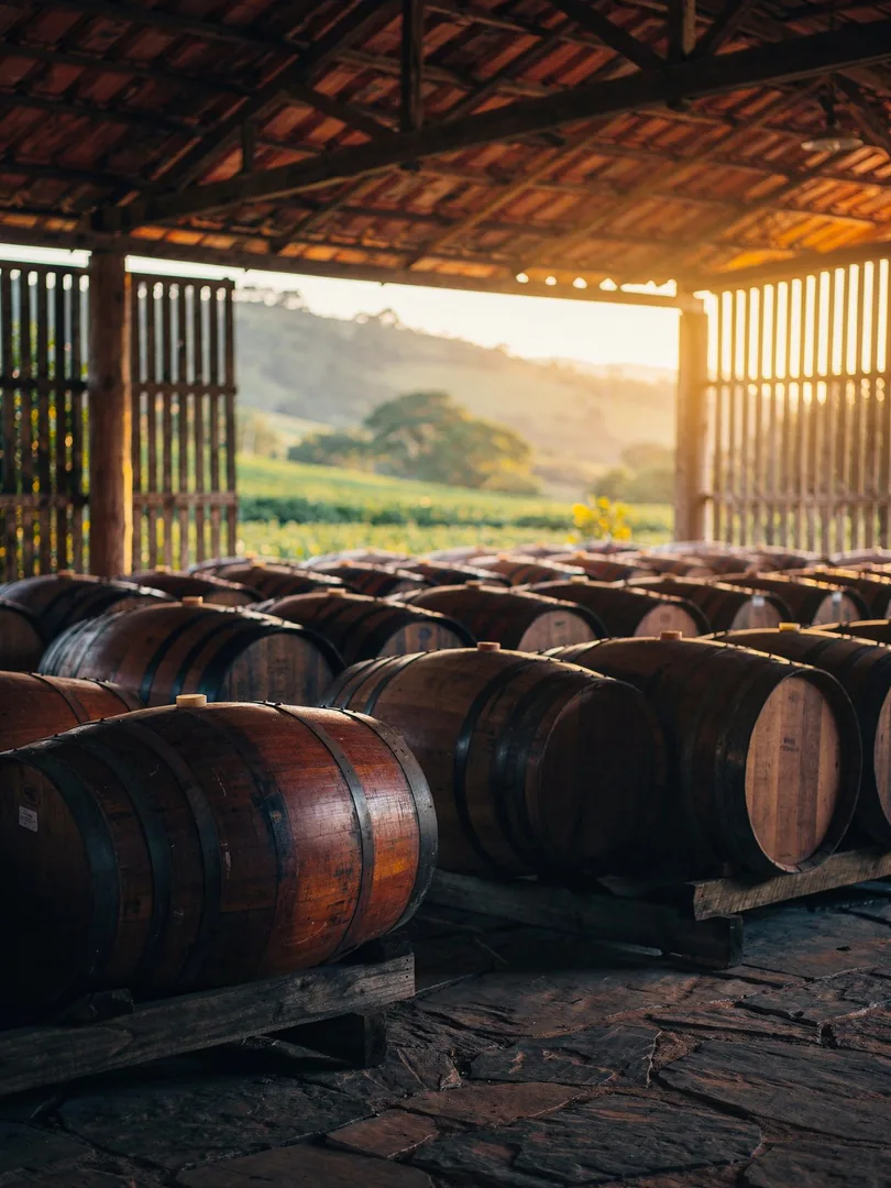 Fass & Klima in der Region Brasilien: Cachaça