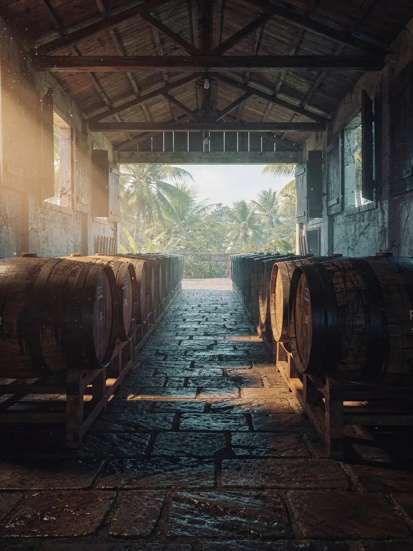Cask & Climate in the region Center & South: Le François to Sainte-Luce