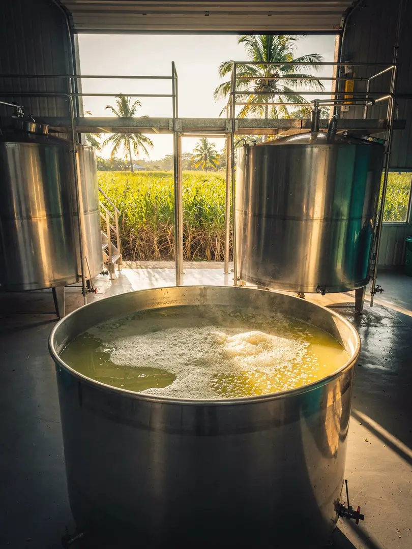 Fermentation in the region Mauritius: Chamarel & the South
