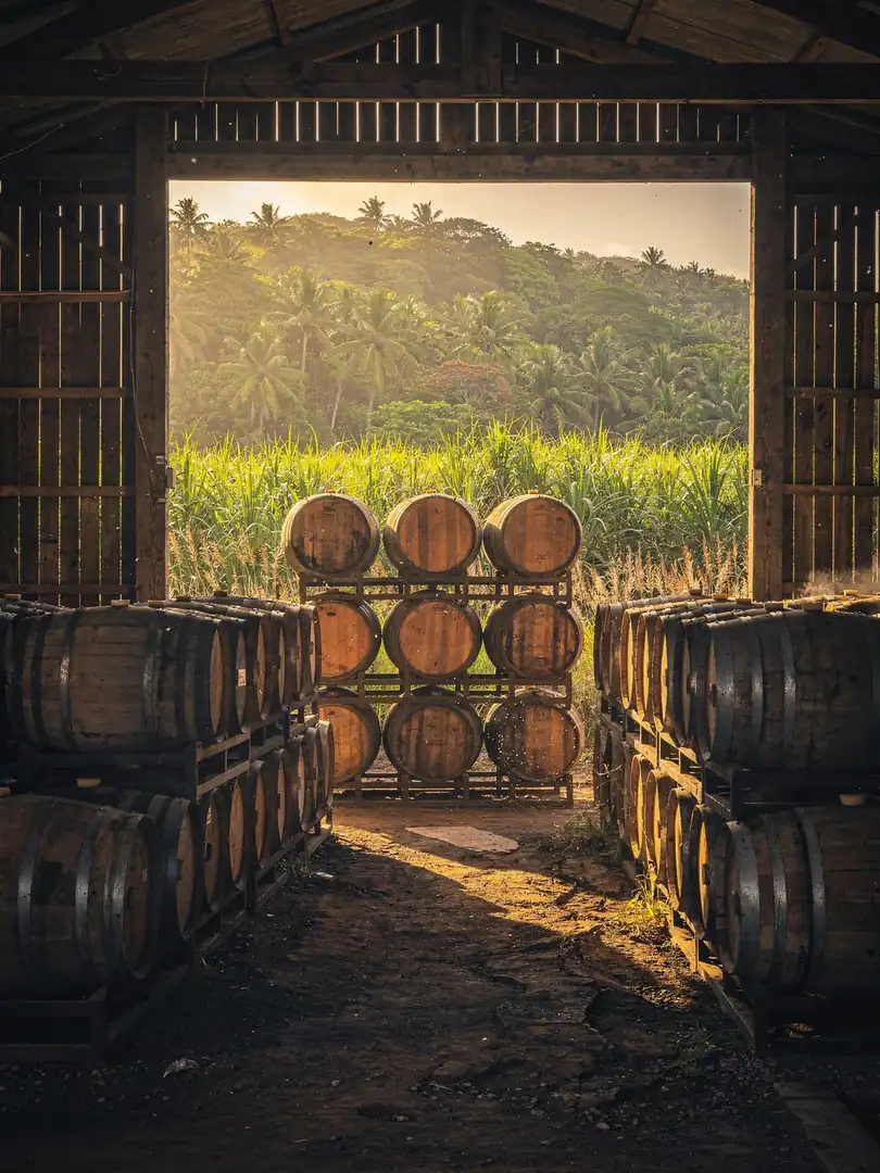 Barrel & Climate in the region Mauritius: Chamarel & the South