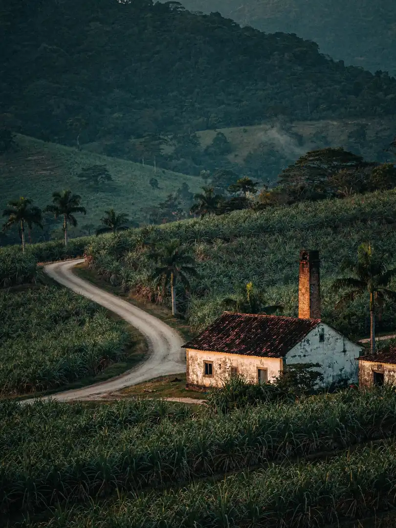 Landscape of the region Brazil: Cachaça