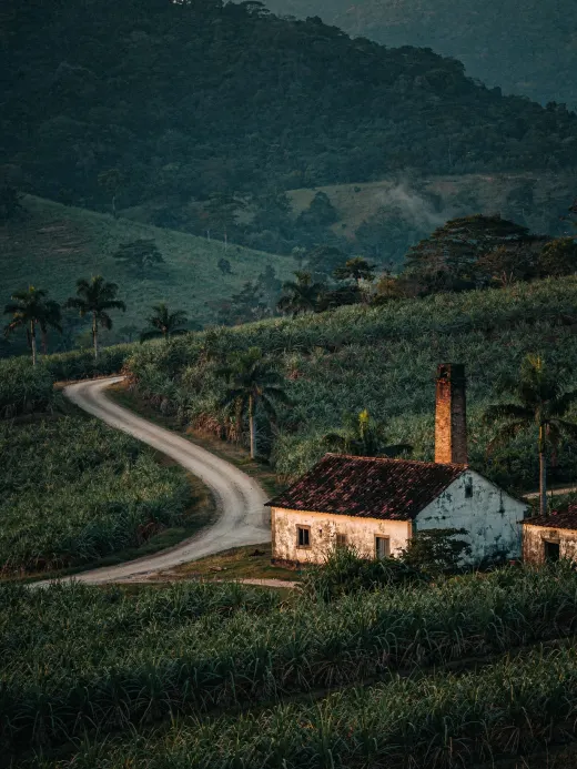 Landscape of the region Brazil: Cachaça