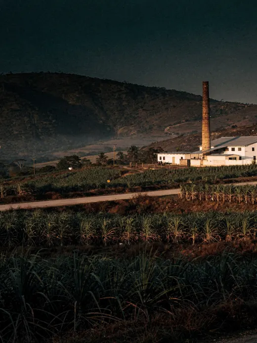 Landscape of the region Panama: Herrera & Pesé