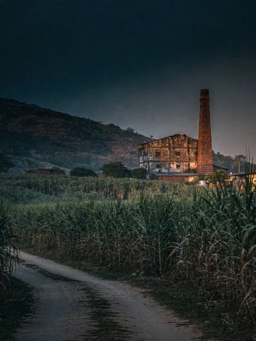 Landscape of the region India