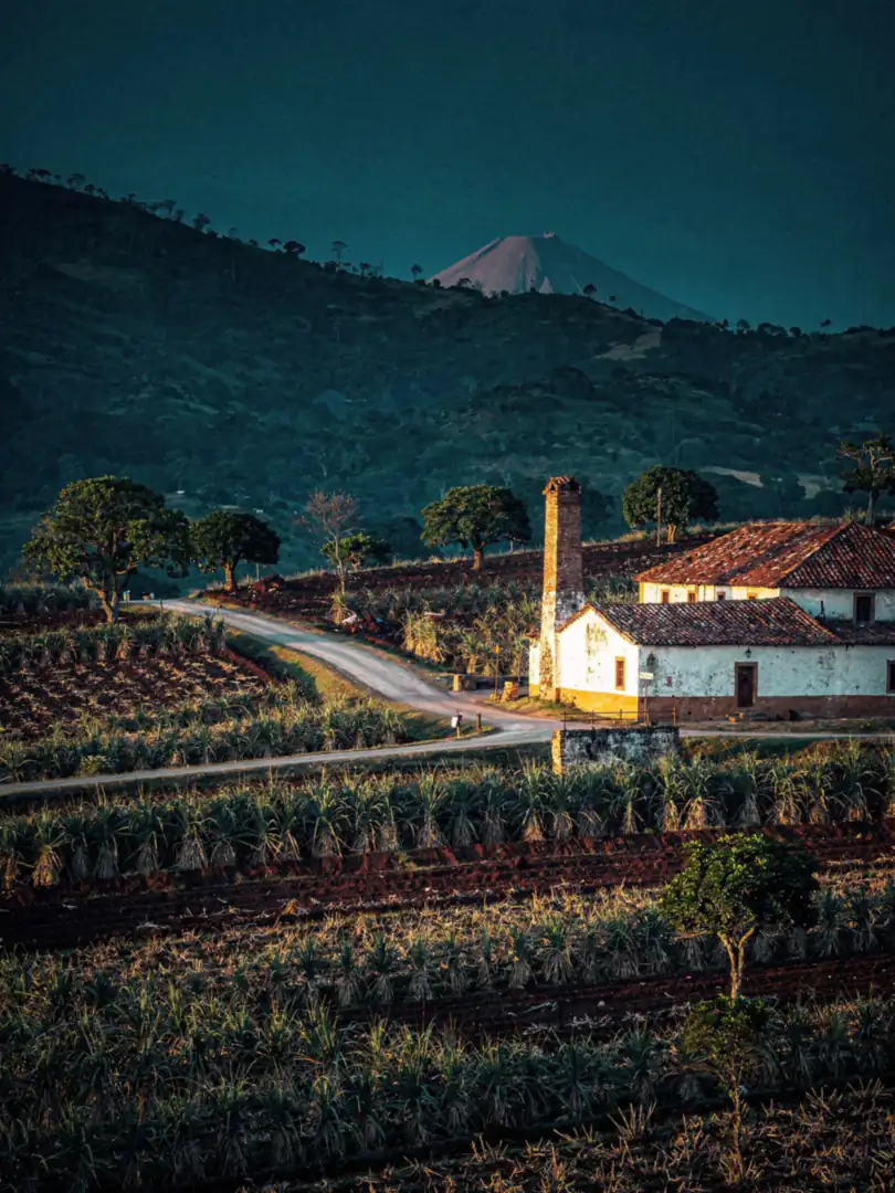 Landscape of the region Michoacán: Charanda