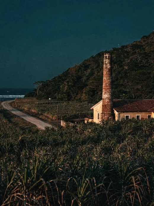 Landscape of the region Puerto Rico (Cataño & Ponce)