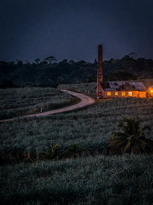 Landscape of the region Trinidad