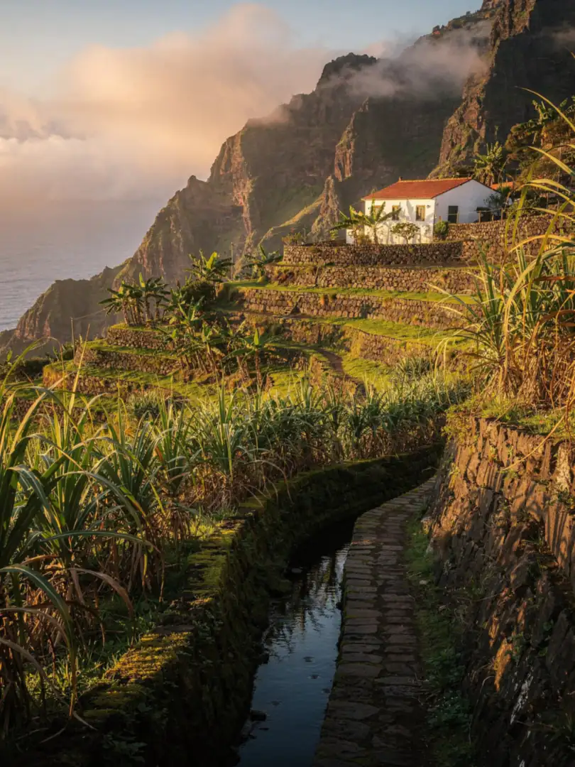 Region & History in the region Madeira