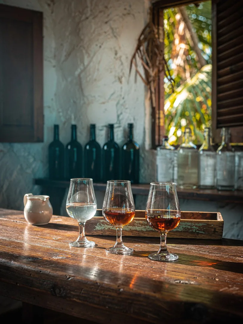 Tasting in the region Marie-Galante