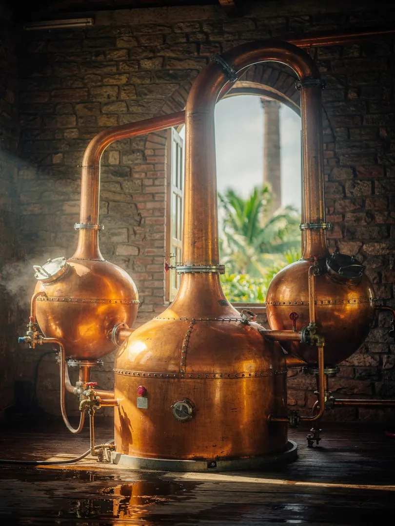Distillation in the region Trelawny & Cockpit Country