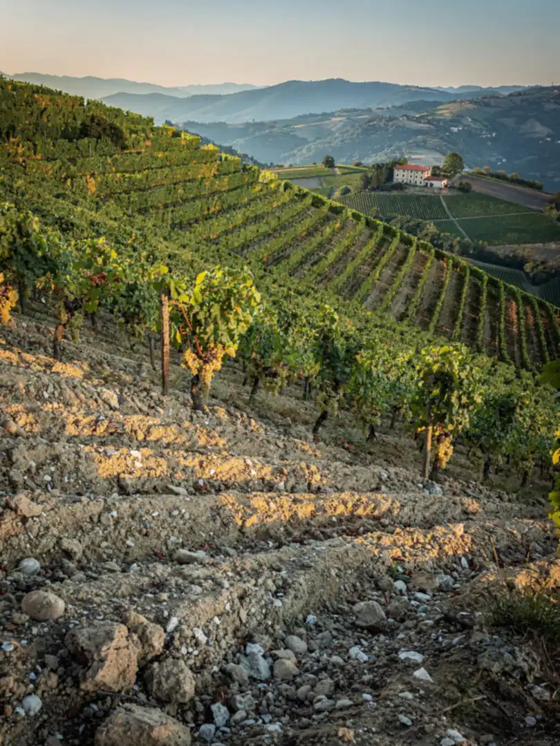 Soil & Climate in the region Asti & Canelli