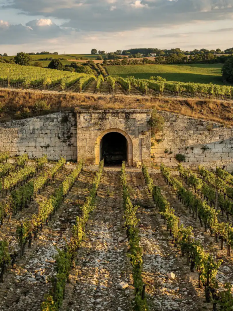 Boden & Klima in der Region Bordeaux & Gaillac