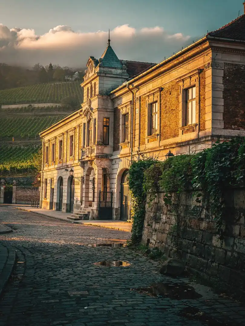Region & History in the region Budafok & Budapest