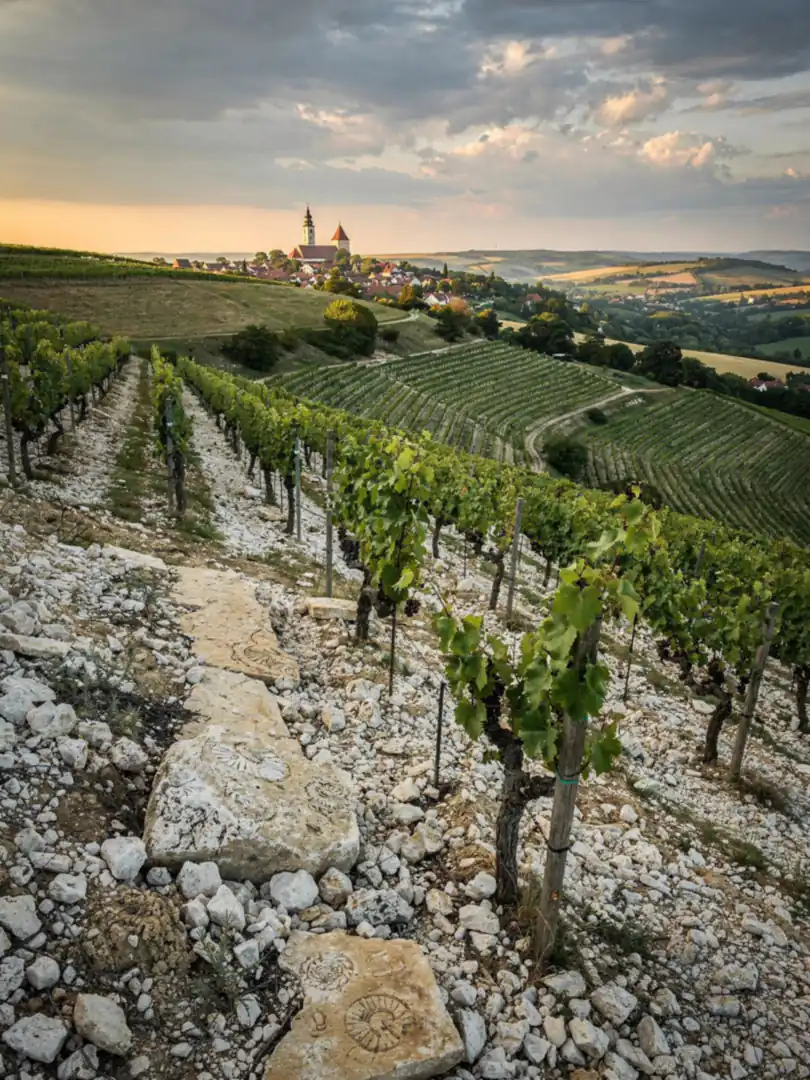 Boden & Klima in der Region Budafok & Budapest