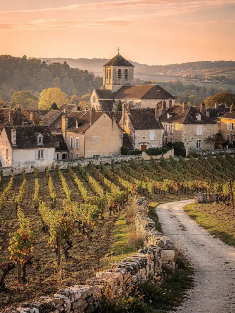 Region & Geschichte in der Region Burgund & Crémant de Bourgogne