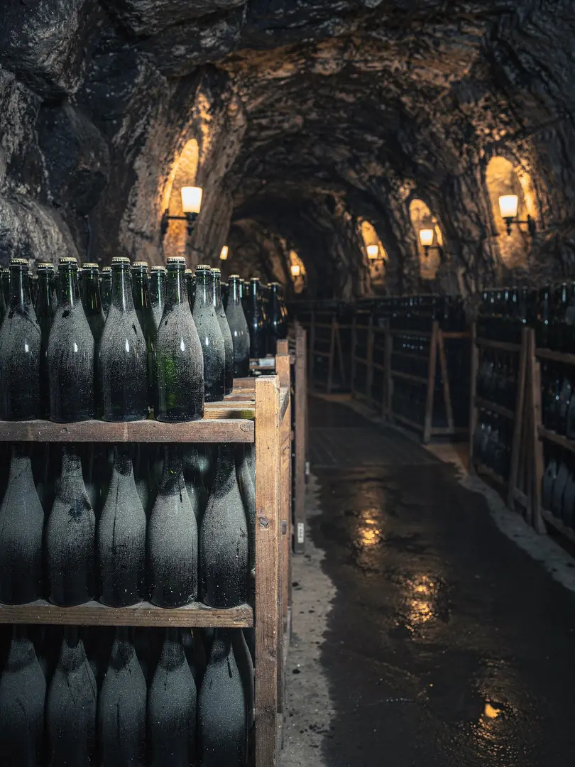 Lees Aging & Dosage in the region Carneros & Napa