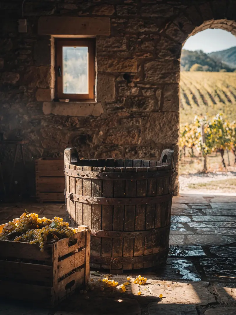 Base Wine & Blending in the region Die & Clairette de Die