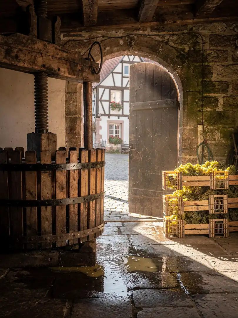 Grundwein & Cuvée in der Region Elsass & Crémant d’Alsace