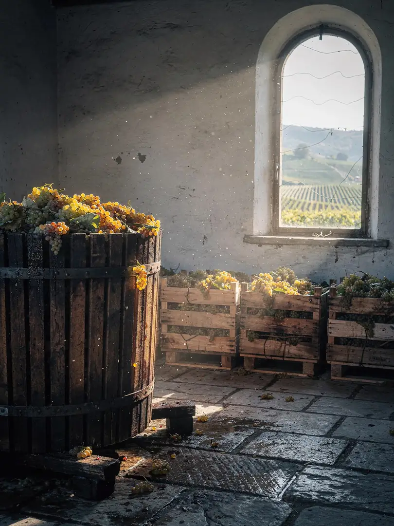 Base Wine & Cuvée in the region Eltville & Rheingau
