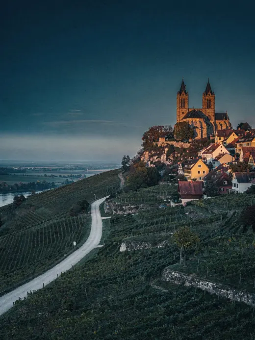Landschaft der Region Breisach & Baden