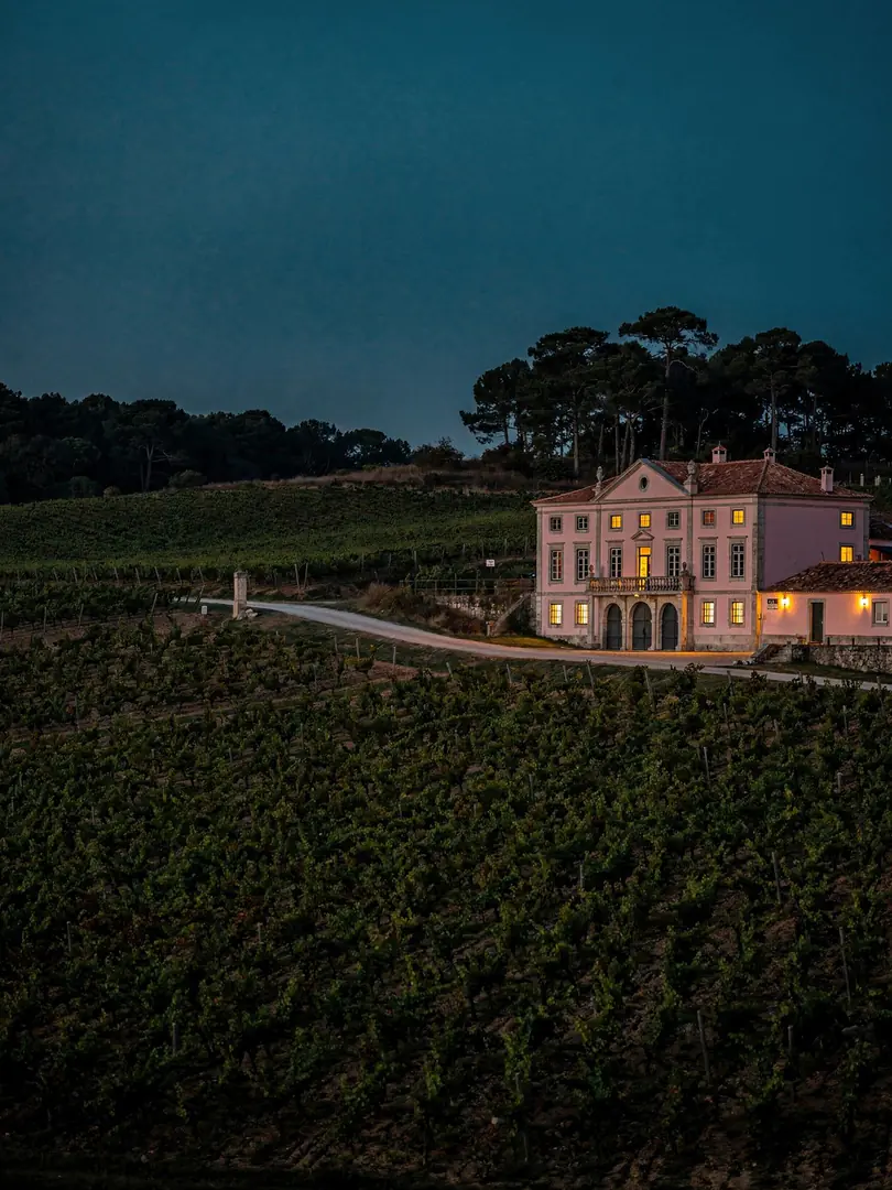 Landschaft der Region Bairrada & Anadia