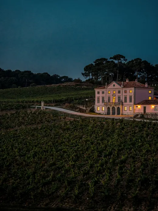 Landschaft der Region Bairrada & Anadia