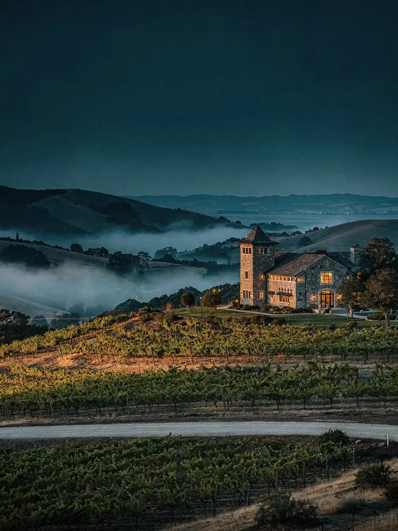 Landscape of the region Carneros & Napa
