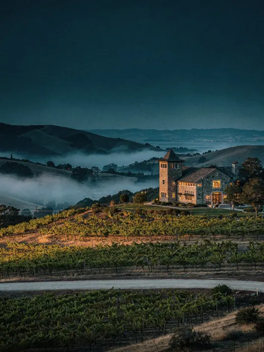 Landschaft der Region Carneros & Napa